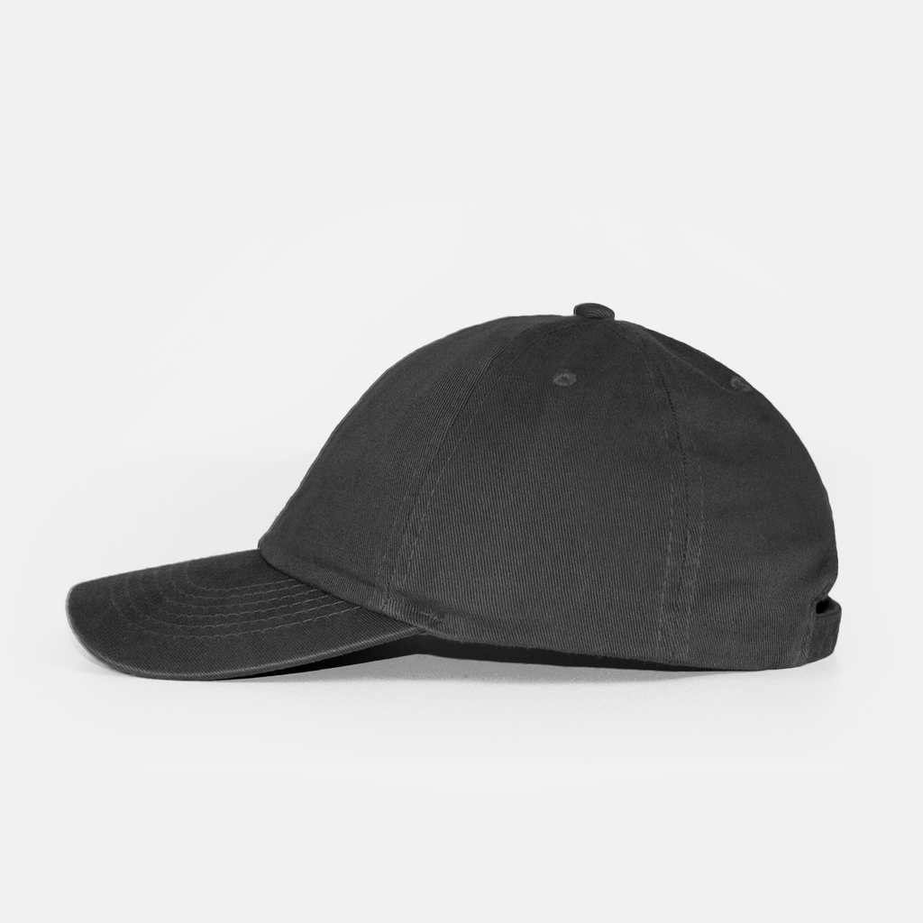 Dad Hat - Chumbo